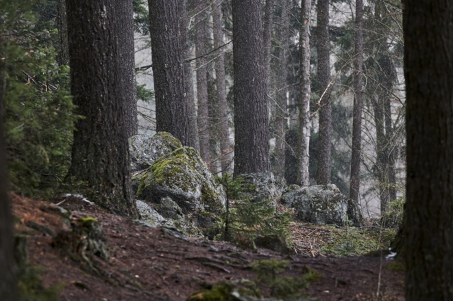 Wandern