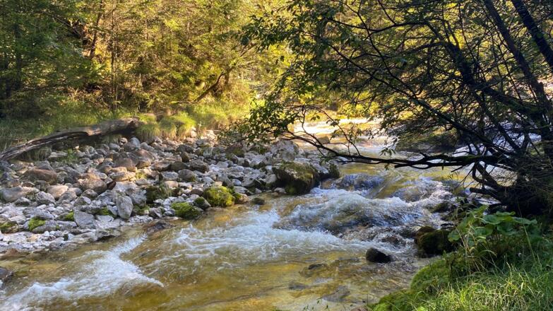 Gimbach Kaskaden Weissenbach