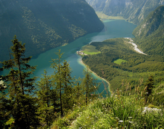 Blick von der Archenkanzel auf den Königssee.