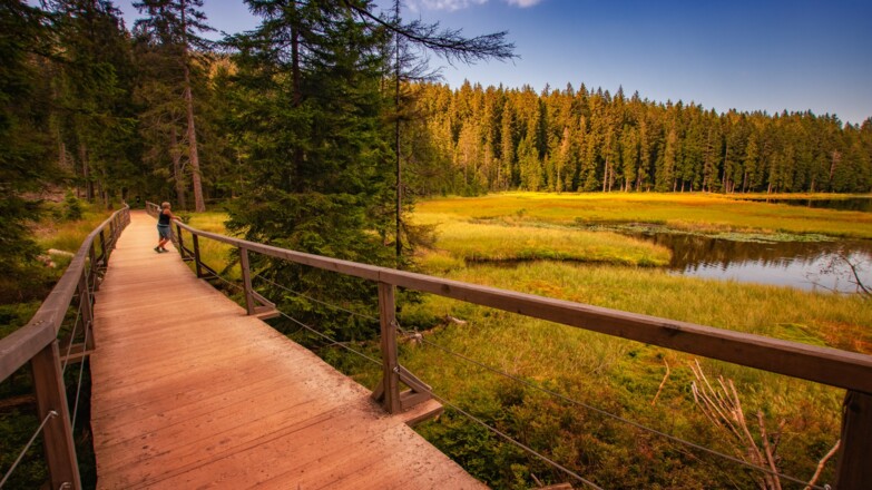 Großer Arbersee