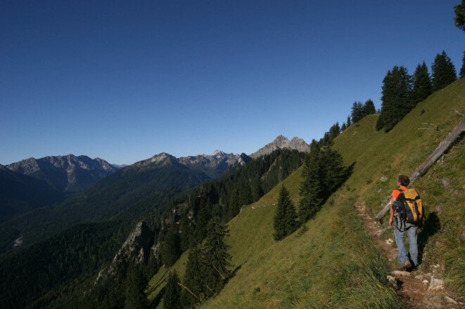 Auf der Südseite des Laubenecks