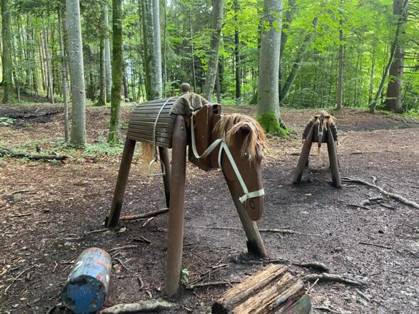 2020-07-Märchenwanderweg TVB-Martina Riedl (14)