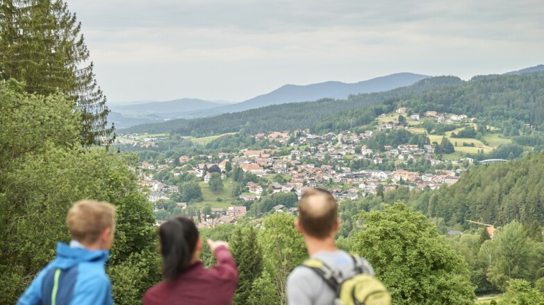 Unterwegs am Silberberg