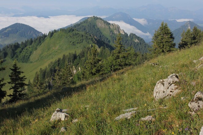 Blick Richtung Feichteck