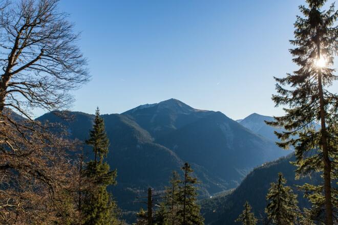 Rückblick zum Schafreiter