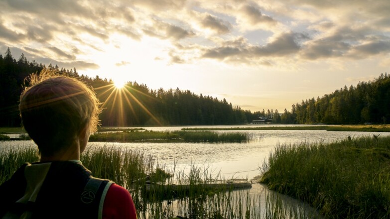 Sonnenaufgang am Großen Arbersee