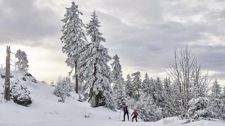 Langlaufen am Bretterschachten