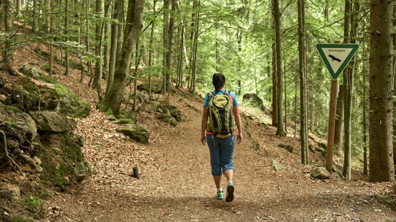 Auf dem Weg in die Rißlochschlucht