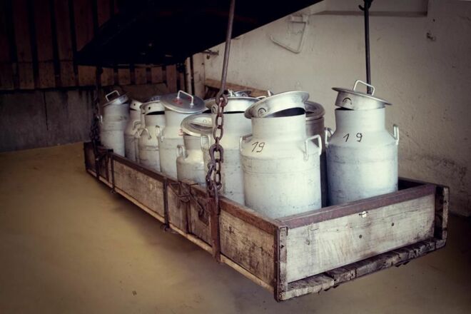 Biosennerei Hatzenstädt Niederndorferberg Niederndorferberg