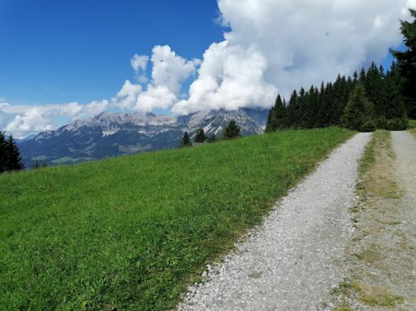 Going_Weg Nr9_von Lierstätt Richtung Brenneralm_Wilder Kaiser