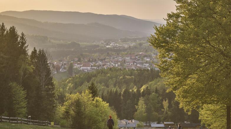 Frühling am Silberberg