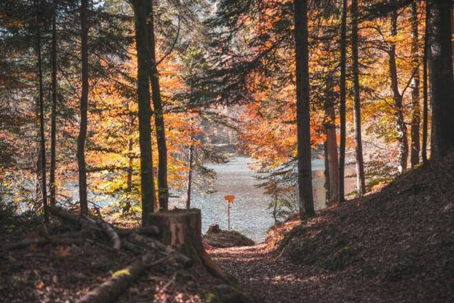 Hechtsee Herbst