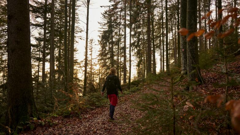 Brandtner-Riegel-Runde