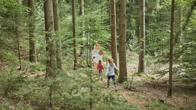 Natur-Entdecker-Pfad "Woid Woifes Welt"