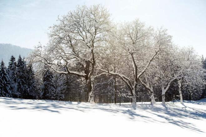 Winter Wandern Winterwandern Schnee