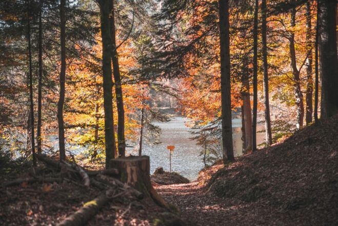 Herbst Hechtsee