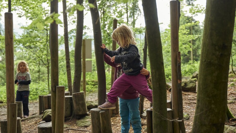 Ameisenweg Bodenmais