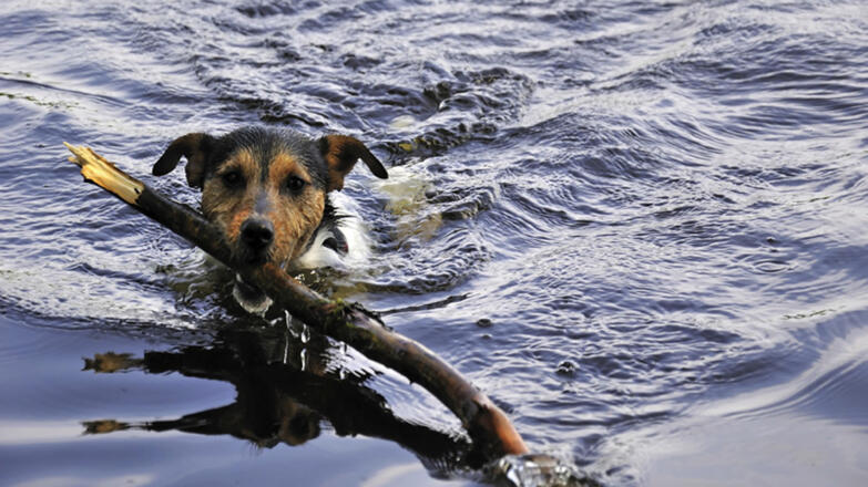 Badeplatz Kreuzstein
