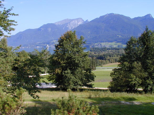 Aussicht Laimer Urschlag