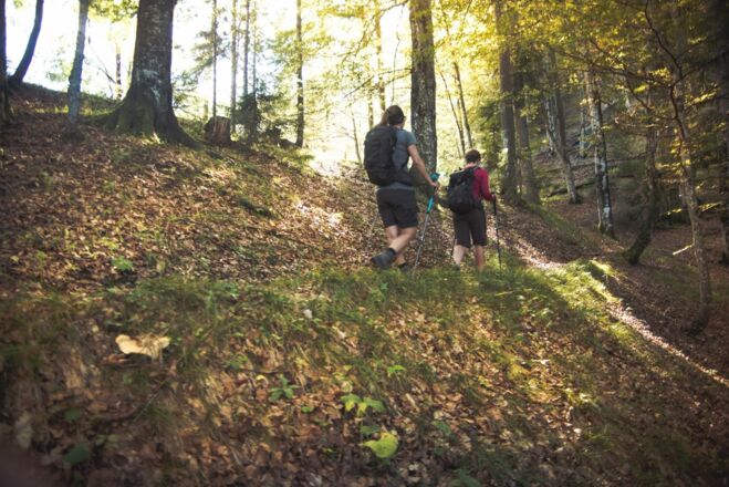 Bergauf Wandern Bettlersteig Naturerlebnis Kaisergebirge