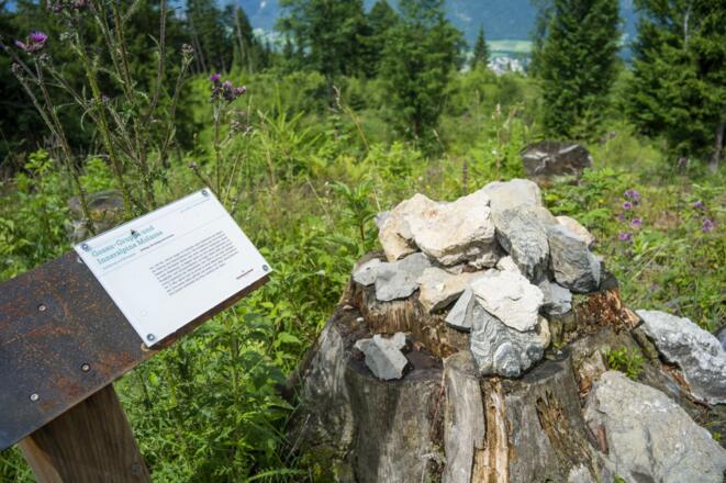 Geologie Wandern Themenweg Naturerlebnis Kaisergebirge