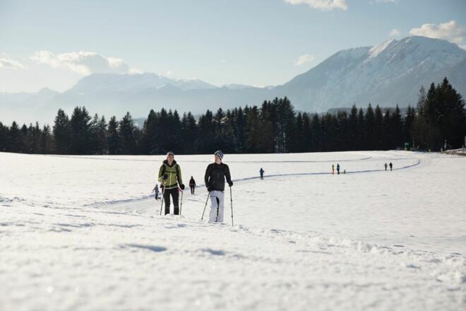 Winterwandern Winter Schnee