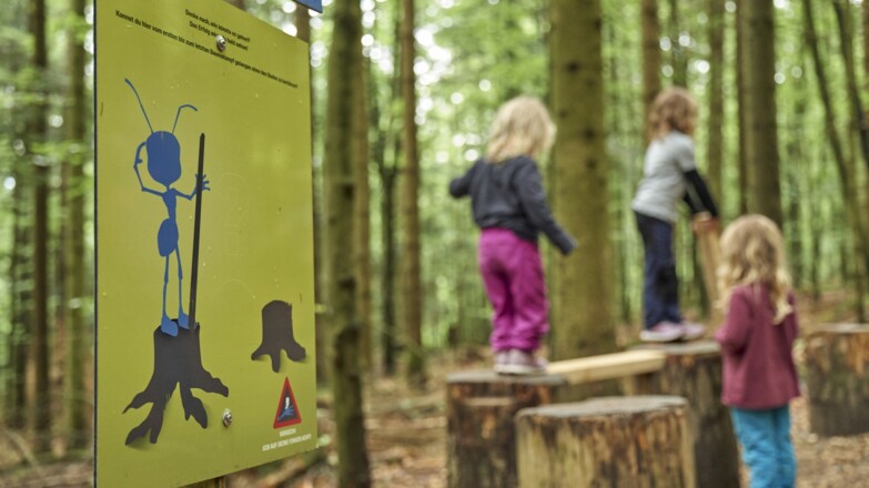 Ameisenweg Bodenmais