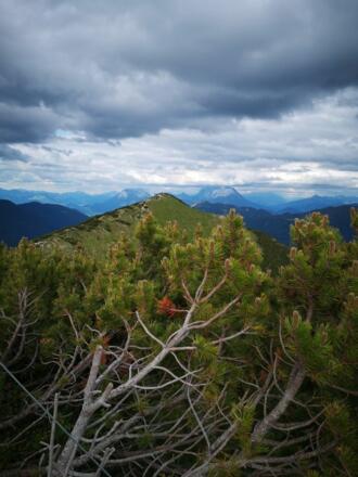 Trailrunning Veitsberg