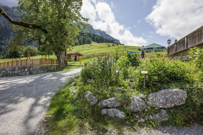 Aschingeralm Kräutergarten Einkehr Alm Hütte
