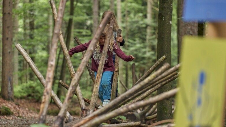 Ameisenweg Bodenmais