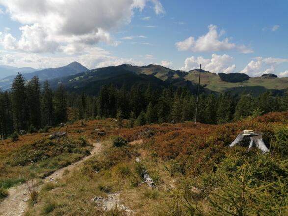 Going_Wandern_Rauher Kopf_Weg Nr9_Wilder Kaiser