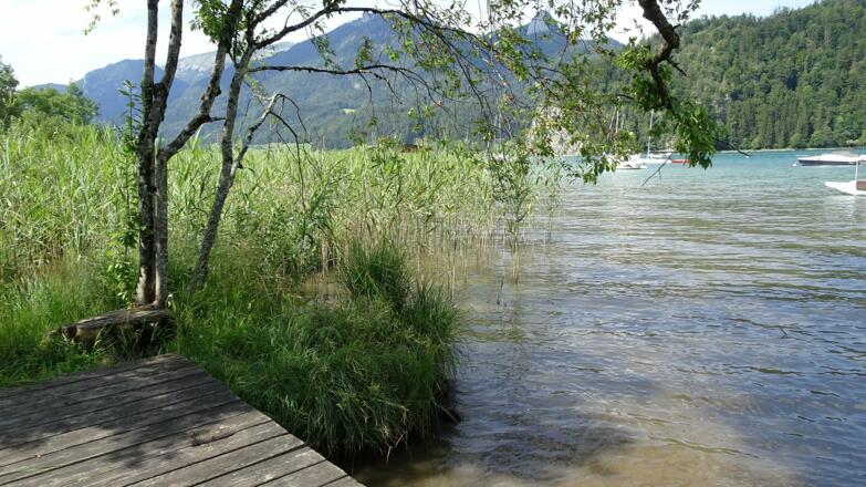 Fehlmayerbad 6