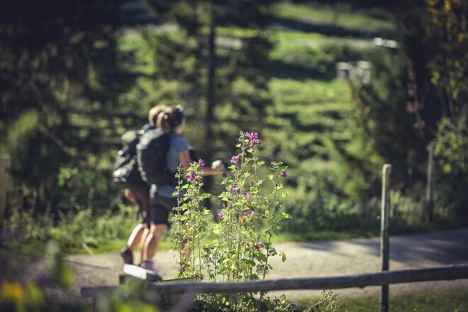 Bettlersteig Wandern Kaindl Naturerlebnis Kaisergebirge
