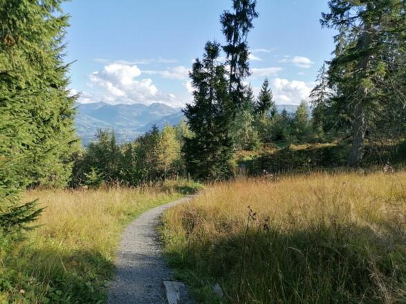 Going_Weg Nr9_zwischen Kathen und Astberg_Wilder Kaiser