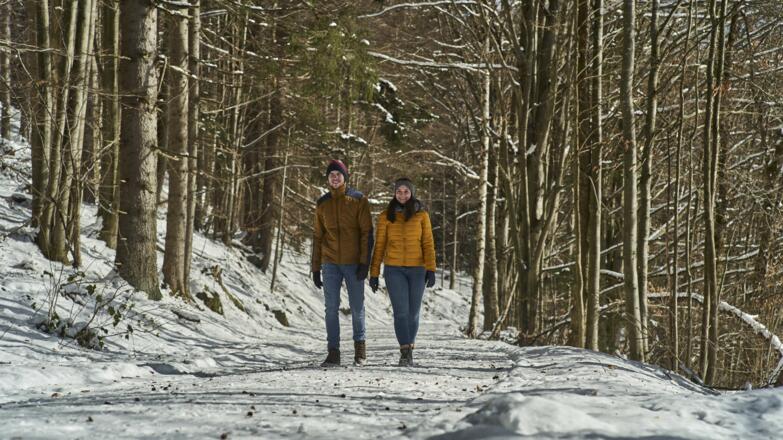 Winterwandern