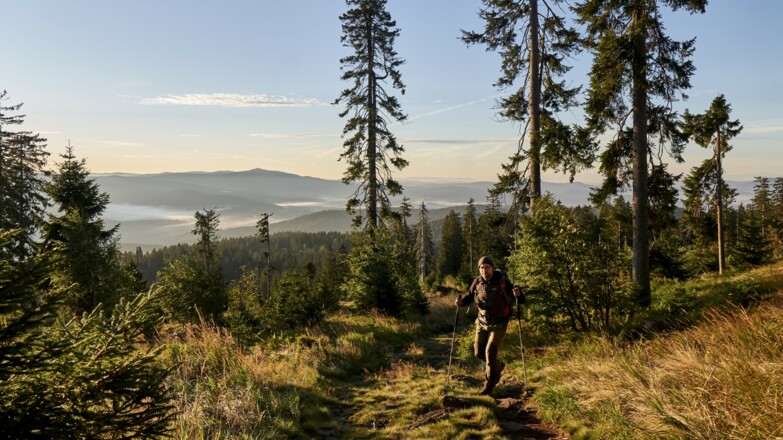 Auf dem Weg zum Mittagsplatzl