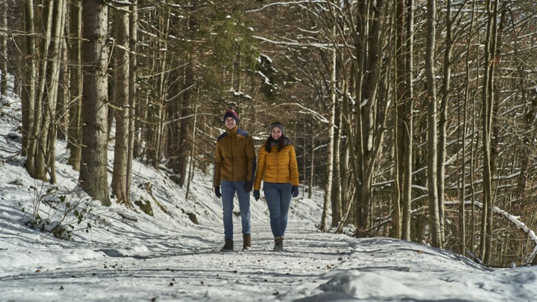 Winterwandern