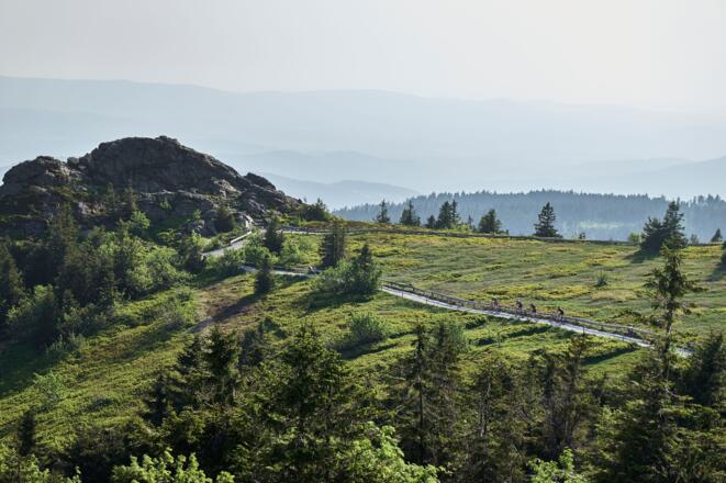 Gipfelplateau des Großen Arbers