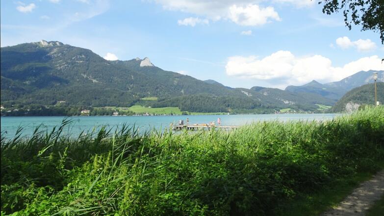 Naturbadestrand Wasswiese 08