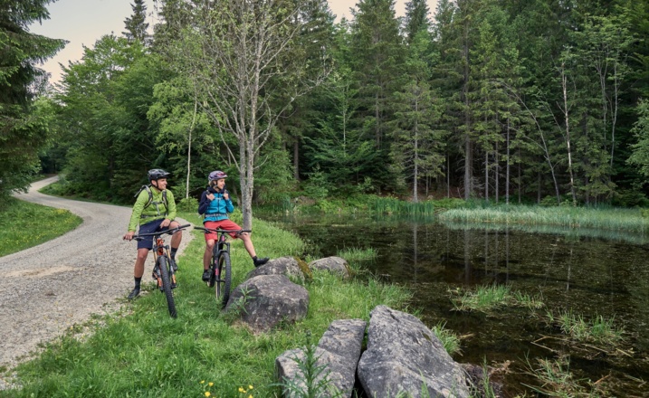 Hochmoorebene Kiesau