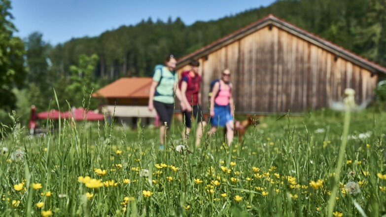 Unterwegs