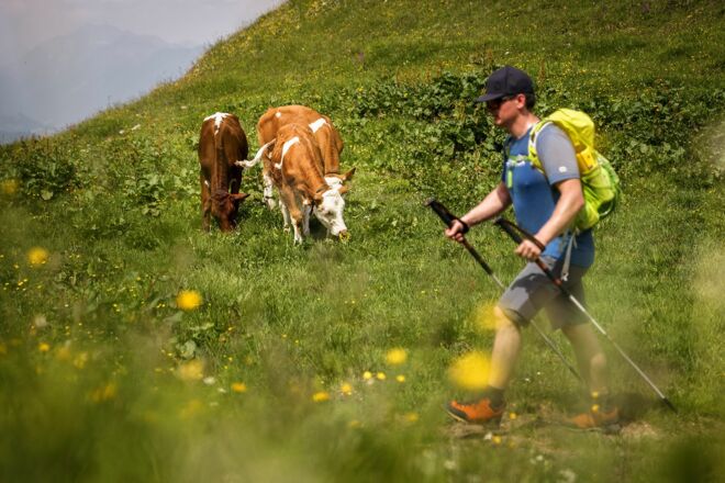 Koasamarsch Kaisergebirge Wandern