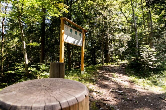 Wandern Rück dich Gesund Pfad
