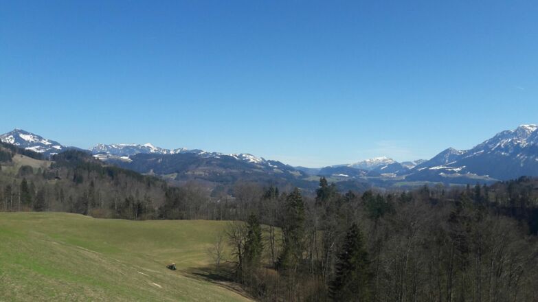 Blick von der Straße zum Tatzelwurm