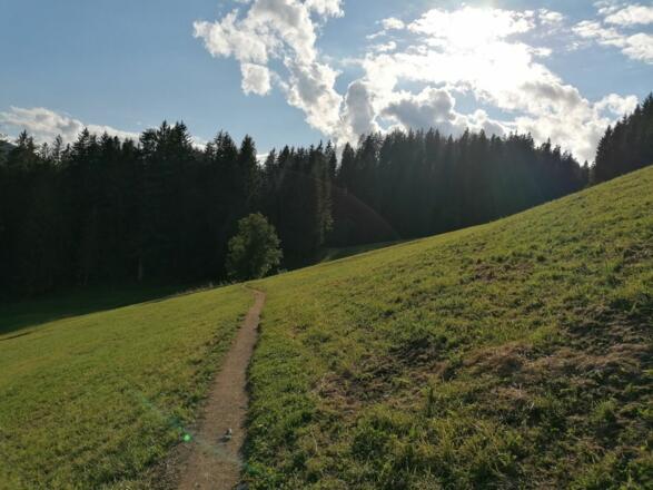 Going_Weg Nr9_zwischen Kathen und Astberg_Wilder Kaiser