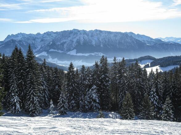 Erlerberg Winter Schnee Winterwandern