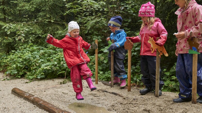 Im Regen am Ameisenpfad