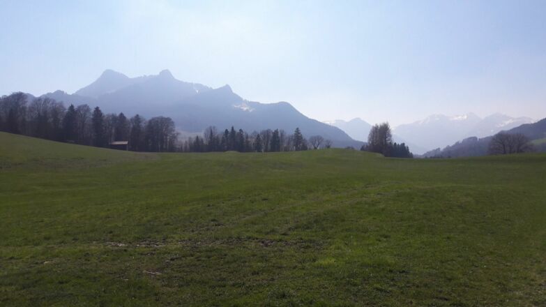 Blick zum Zahmen Kaiser