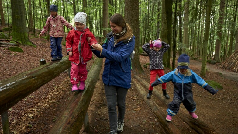 Im Regen am Ameisenpfad