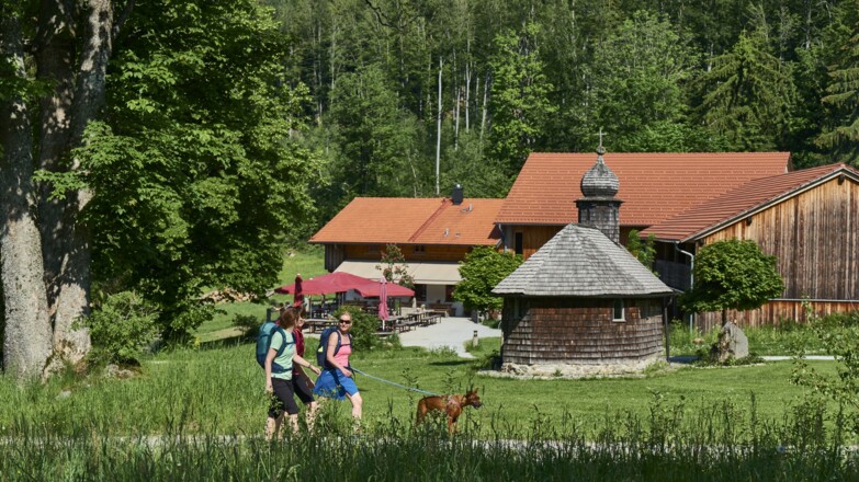 Gutsalm Harlachberg